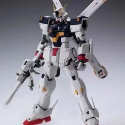 BANDAI FIGURE Crossbone Gundam X-1 Ver Ka Mobile Suit Gundam MG 1/100 Model Kit